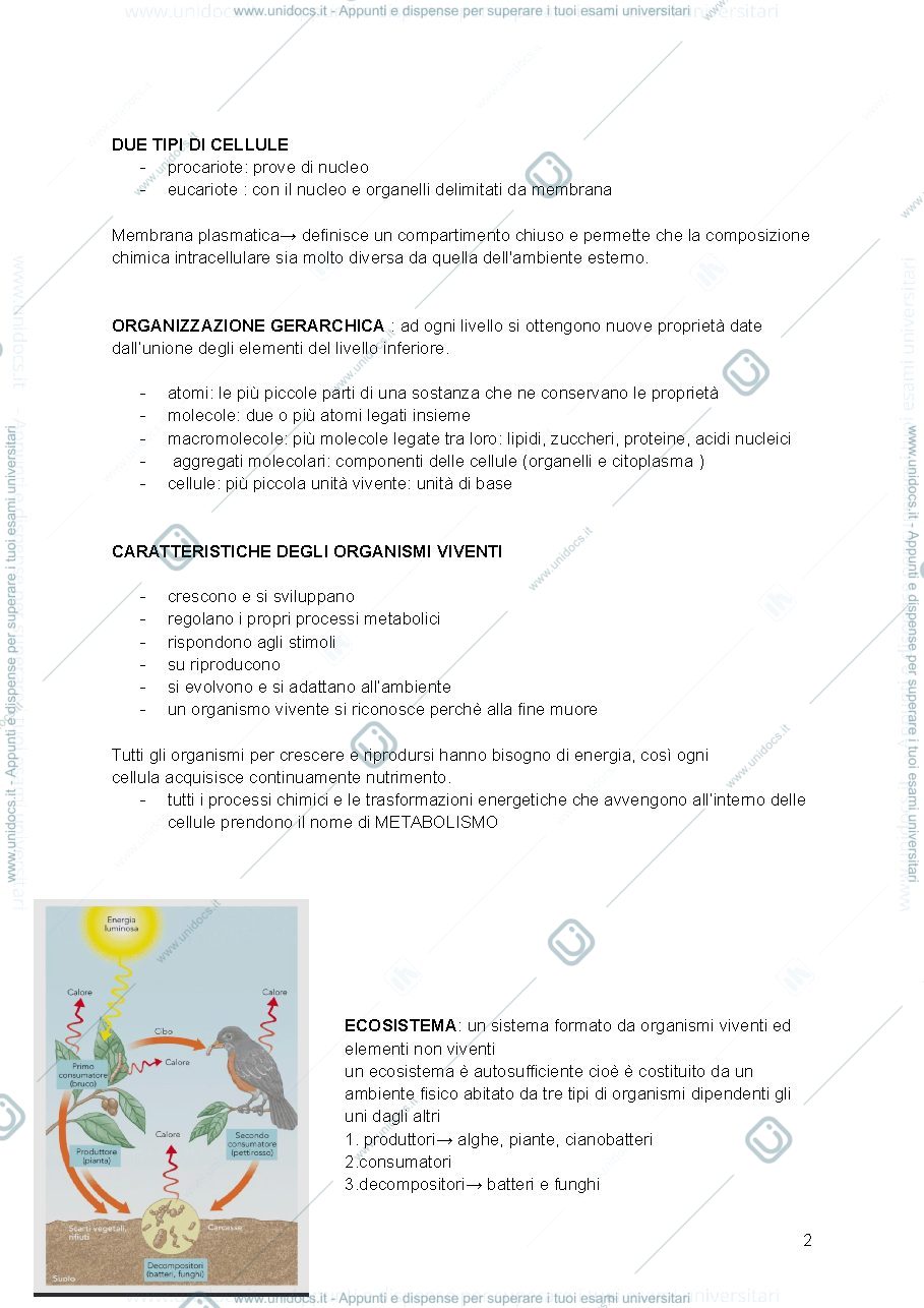 Anteprima pagina 2 — biologia applicata