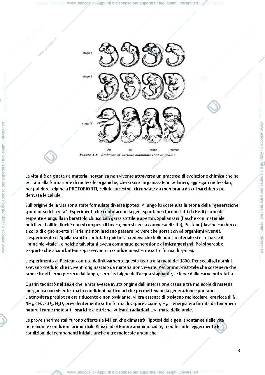 Anteprima pagina 3 — sbobine biologia