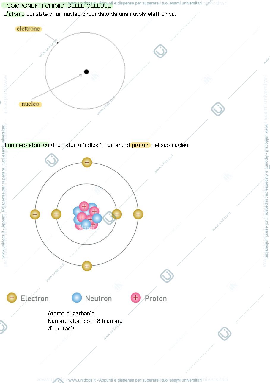 Anteprima pagina 1 — Componenti chimici delle cellule