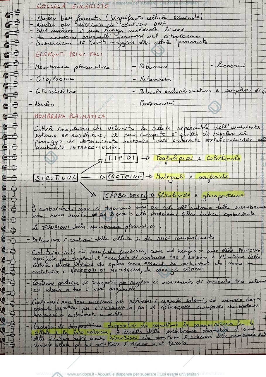 Anteprima pagina 3 — biologia generale