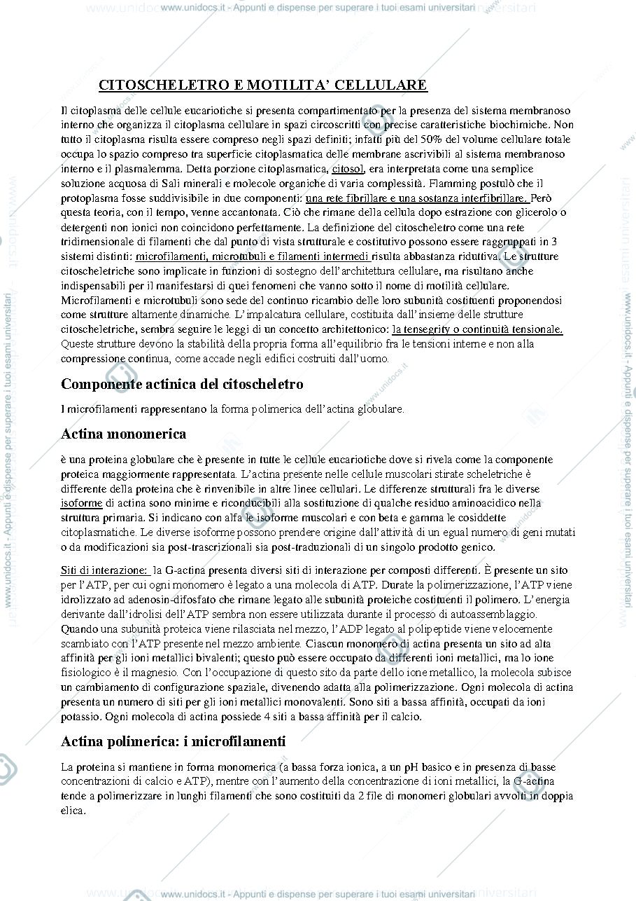 Anteprima pagina 1 — Citoscheletro e motilita cellulare