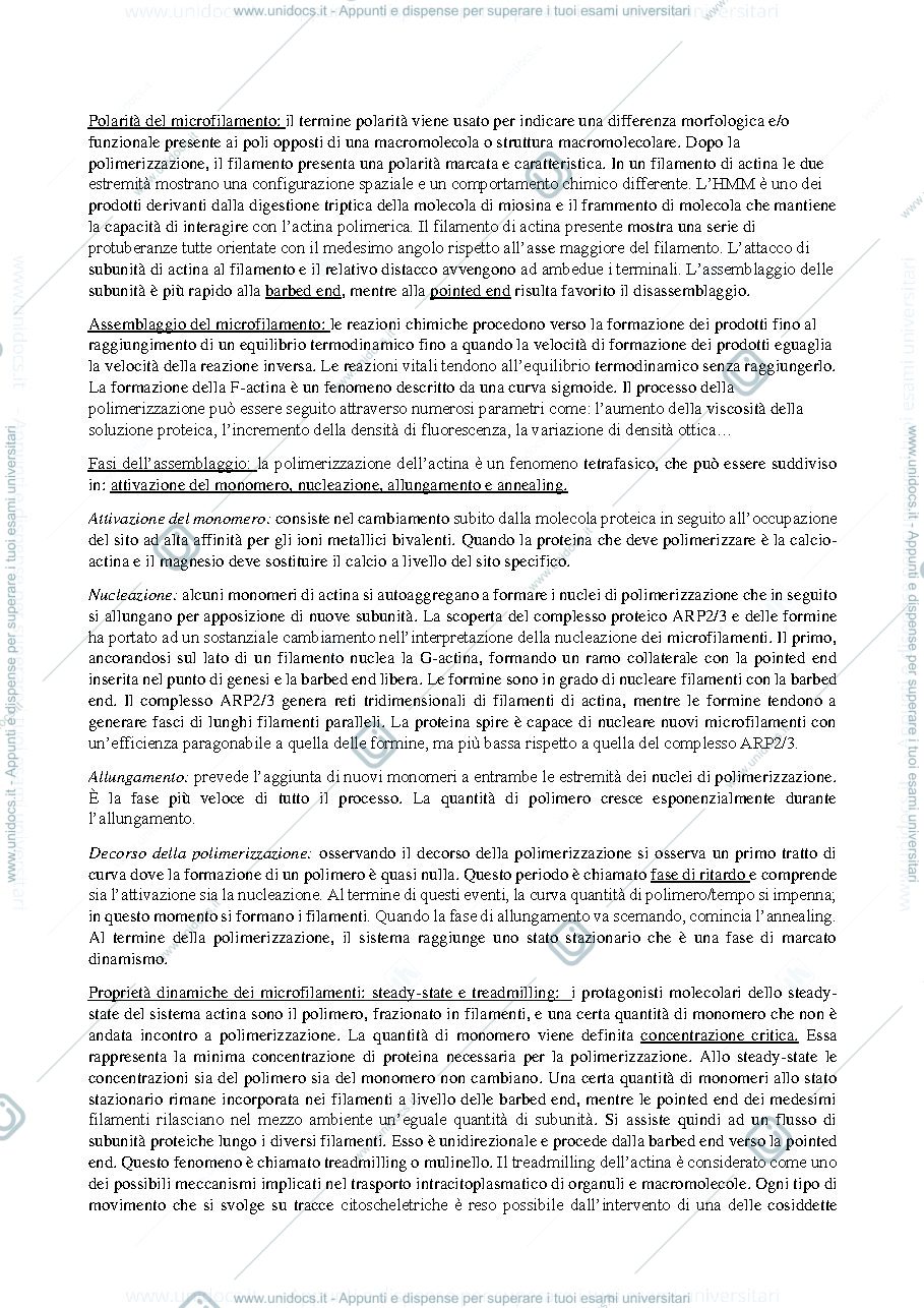 Anteprima pagina 2 — Citoscheletro e motilita cellulare