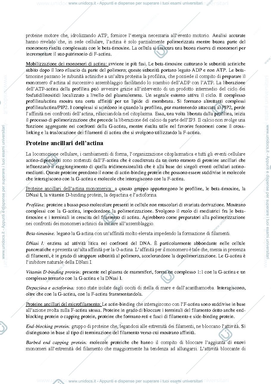 Anteprima pagina 3 — Citoscheletro e motilita cellulare