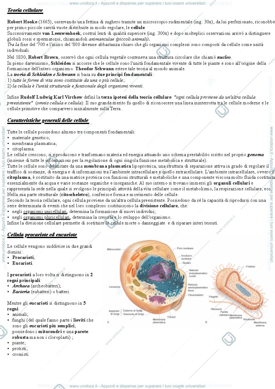 Anteprima pagina 1 — Teoria cellulare. Cellula procariote ed eucariote.