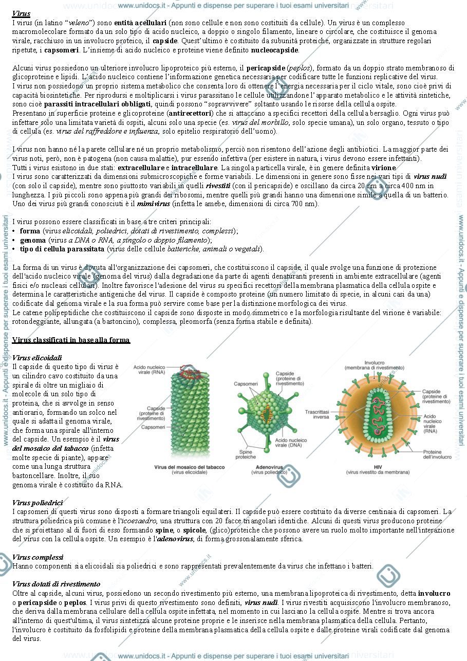 Anteprima pagina 1 — Virus e batteri