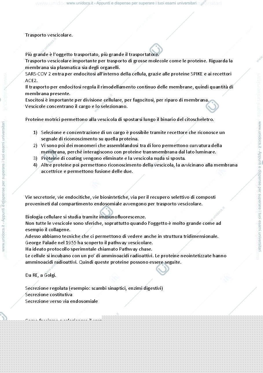 Anteprima pagina 1 — Trasporto vescicolare.