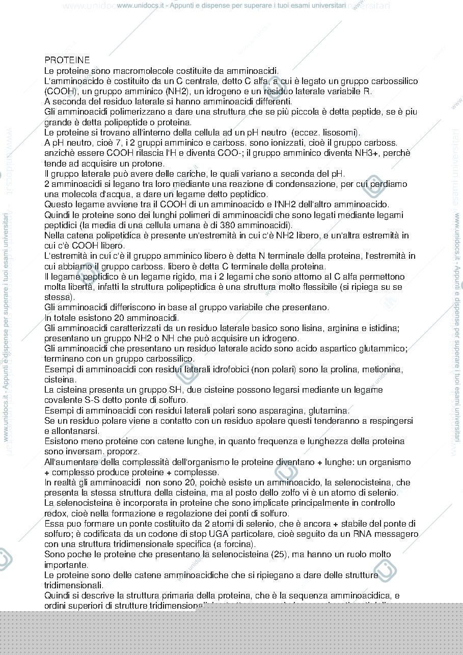 Anteprima pagina 1 — le proteine