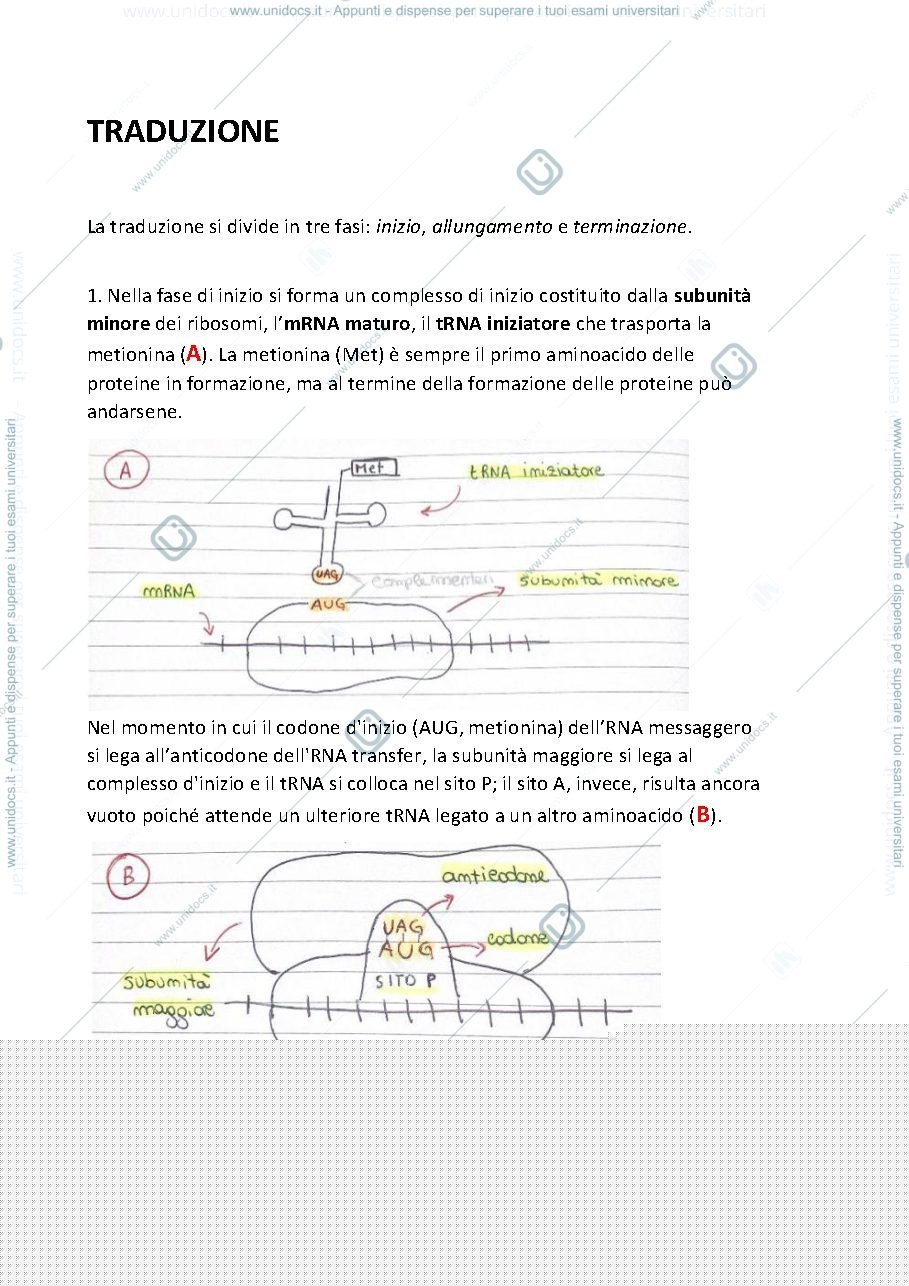 Anteprima pagina 1 — Traduzione