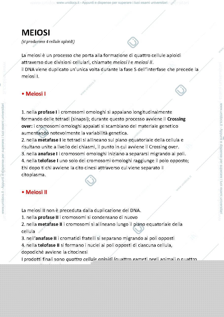 Anteprima pagina 1 — Meiosi
