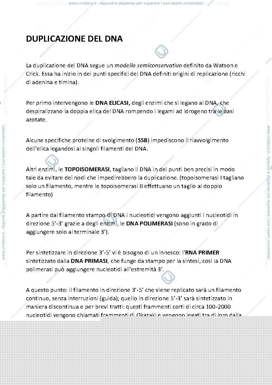 Anteprima pagina 1 — Duplicazione del DNA
