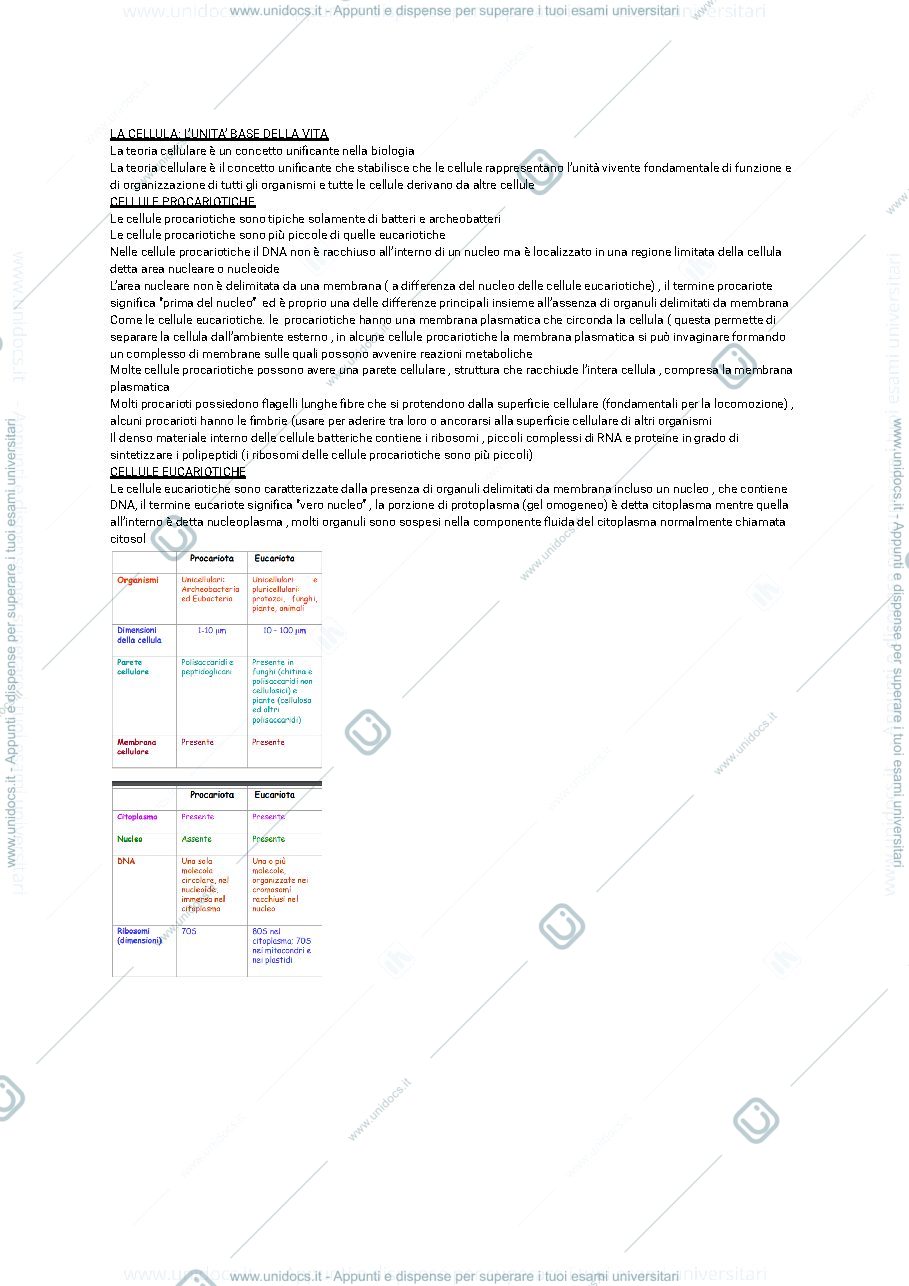 Anteprima pagina 1 — BIOLOGIA CELLULARE: INTERAZIONE TRA GENI E NUTRIENTI
