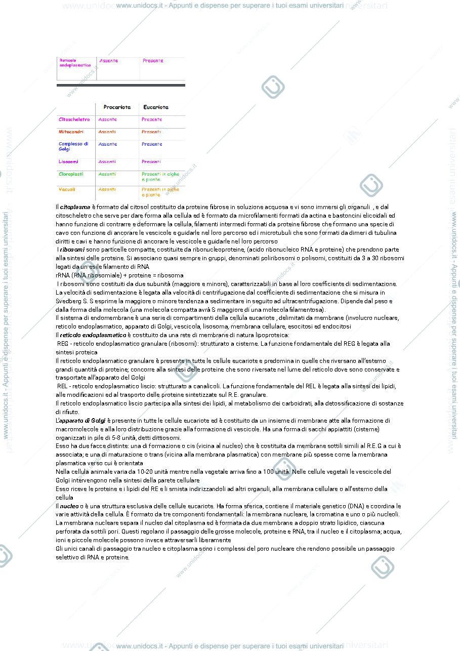 Anteprima pagina 2 — BIOLOGIA CELLULARE: INTERAZIONE TRA GENI E NUTRIENTI