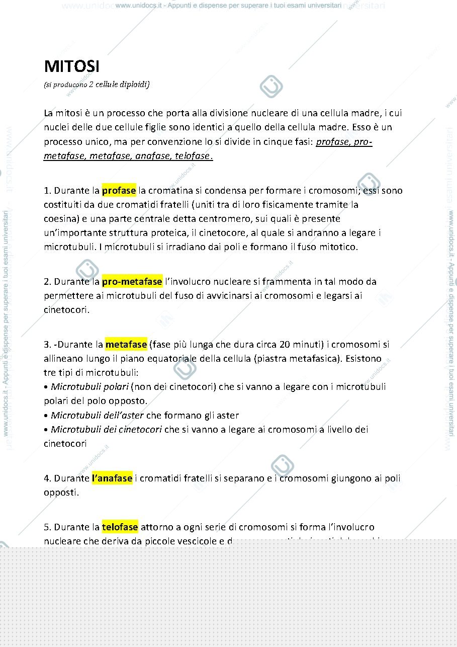 Anteprima pagina 1 — Mitosi