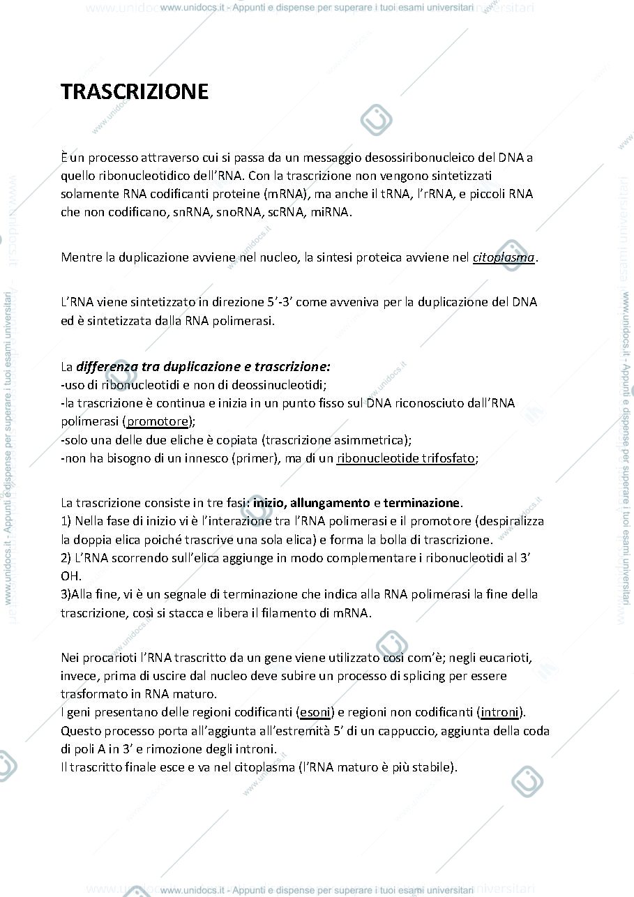 Anteprima pagina 1 — Trascrizione