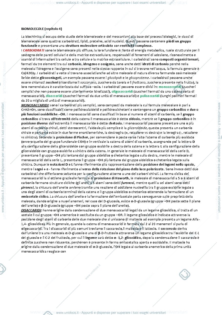 Anteprima pagina 1 — BIOLOGIA CELLULARE: INTERAZIONE TRA GENI E NUTRIENTI