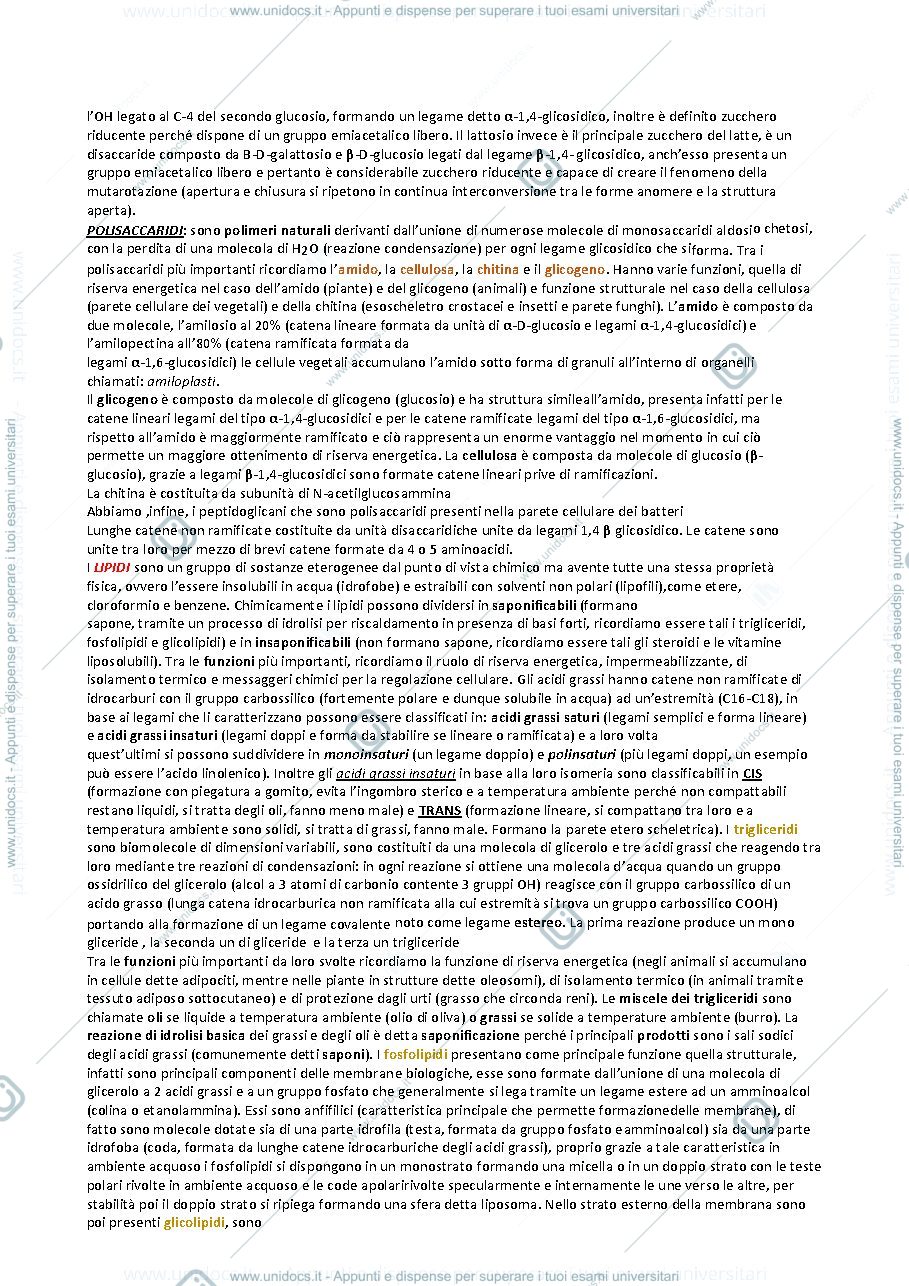Anteprima pagina 2 — BIOLOGIA CELLULARE: INTERAZIONE TRA GENI E NUTRIENTI