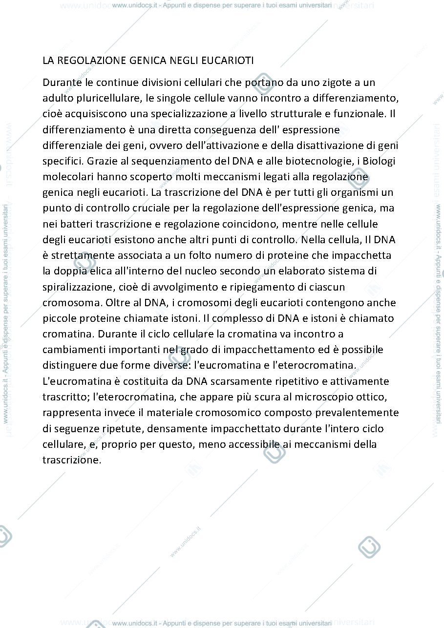 Anteprima pagina 1 — La regolazione genica