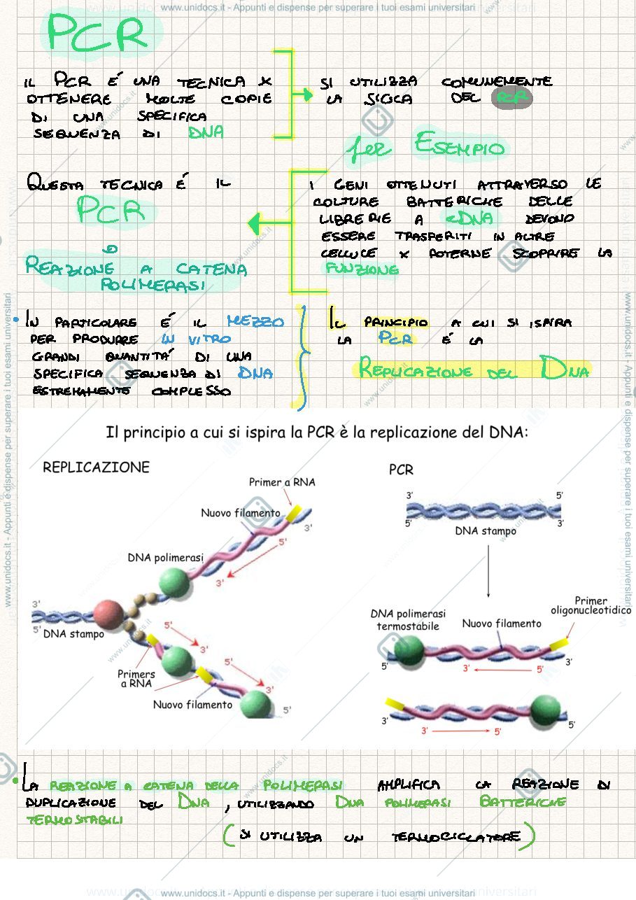 Anteprima pagina 1 — PCR
