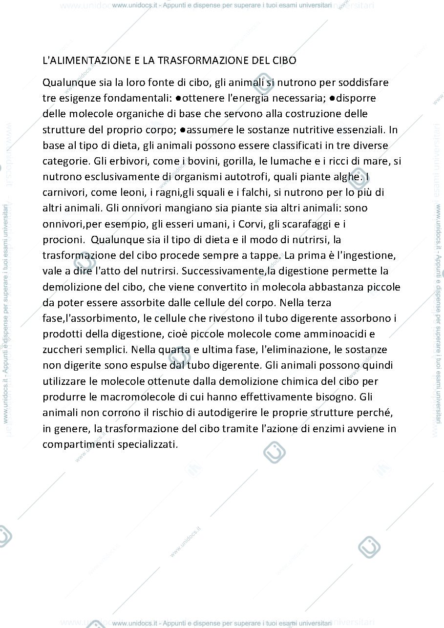 Anteprima pagina 1 — L'ALIMENTAZIONE E LA TRASFORMAZIONE DEL CIBO 