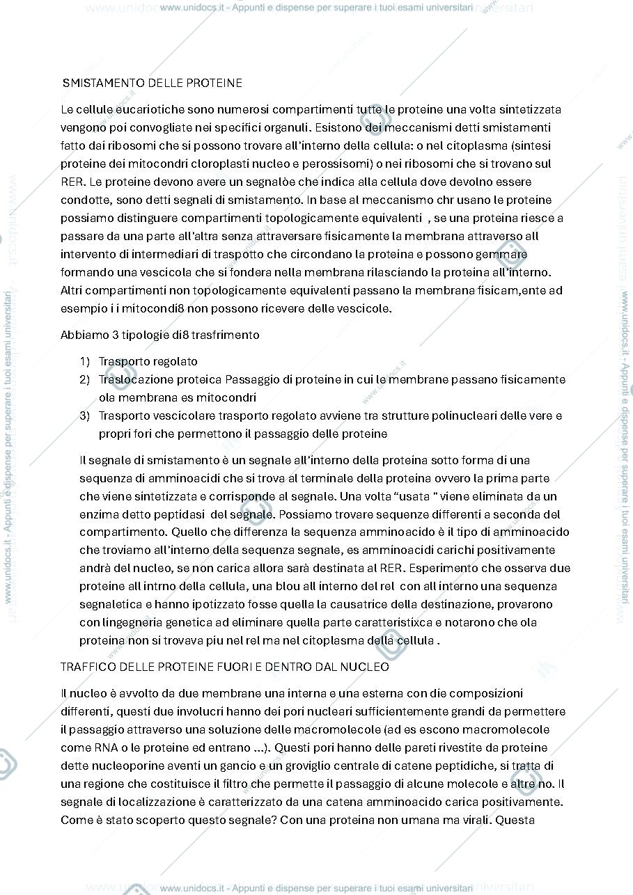 Anteprima pagina 1 — smistamento delle proteine