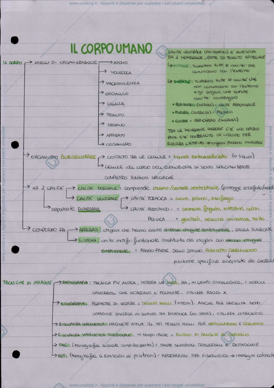 Anteprima pagina 1 — Biologia del corpo mano