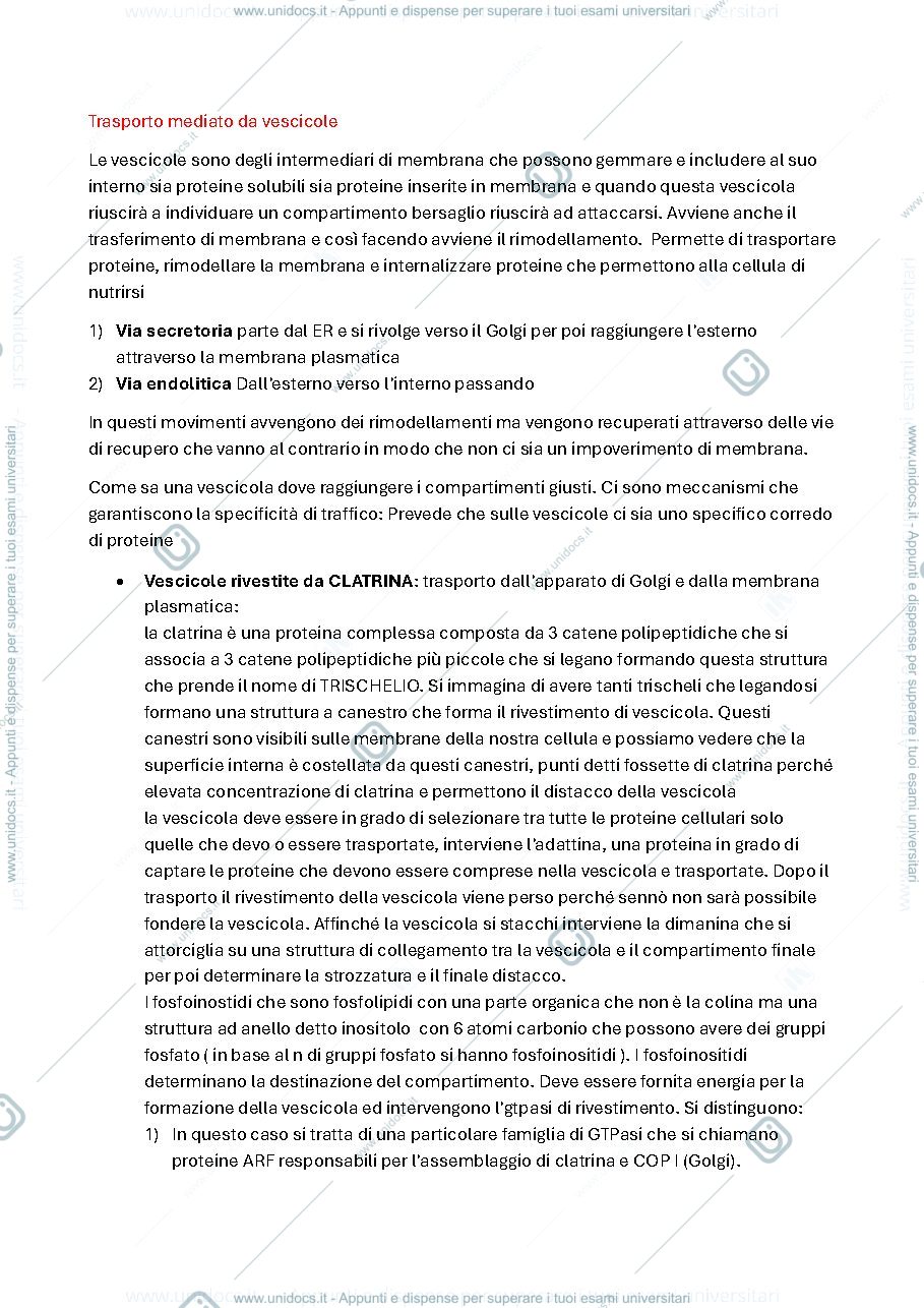 Anteprima pagina 1 — trasporto mediato da vescicole