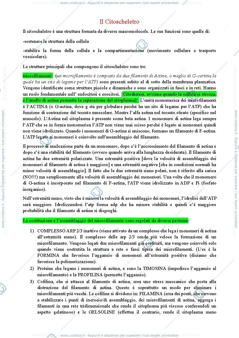 Anteprima pagina 1 — appunti biologia cellulare