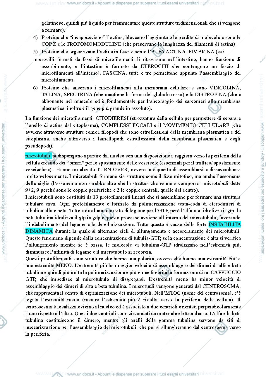 Anteprima pagina 2 — appunti biologia cellulare