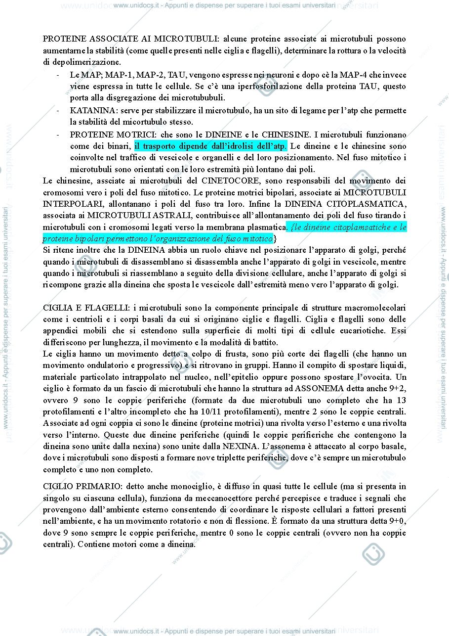 Anteprima pagina 3 — appunti biologia cellulare