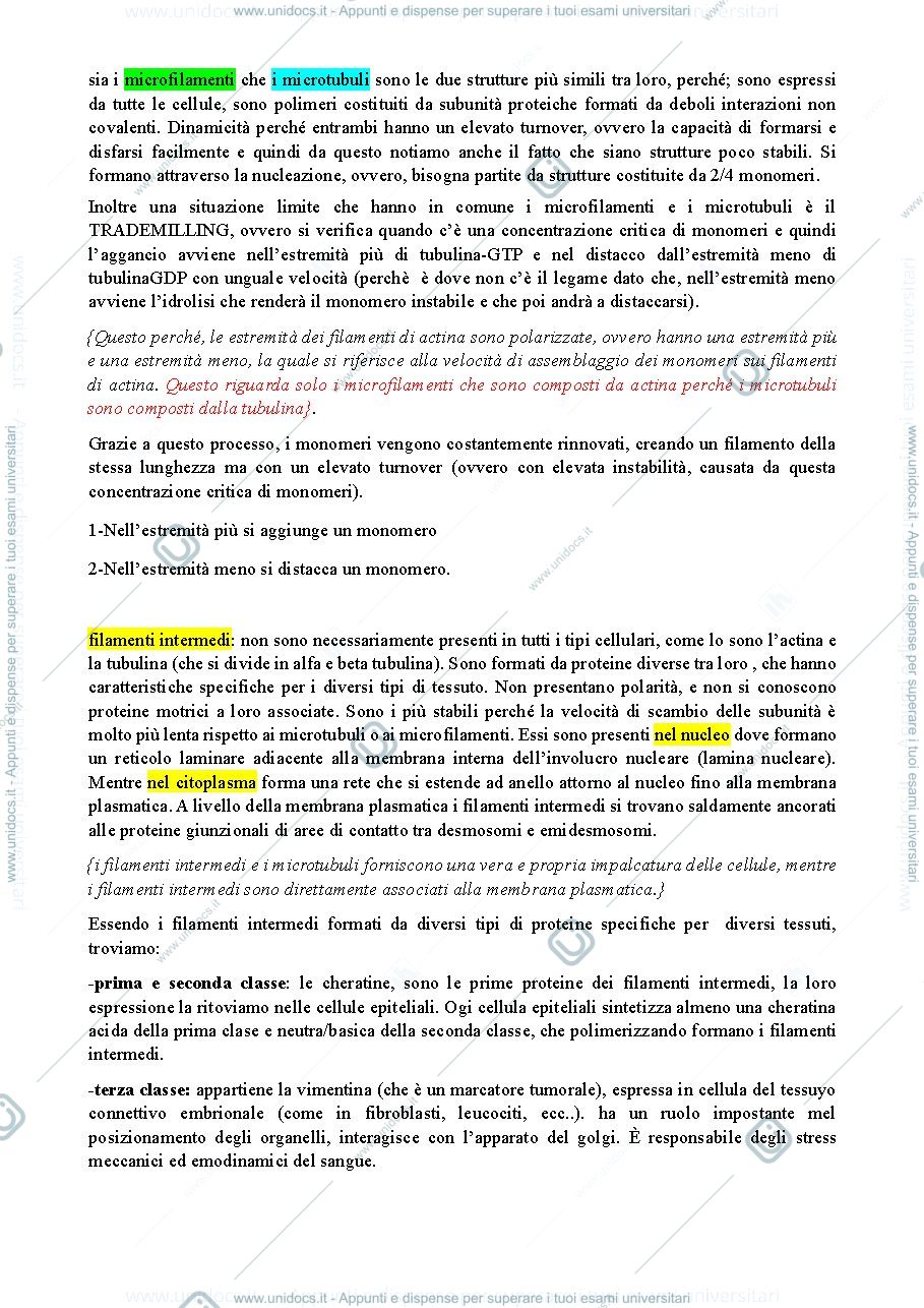 Anteprima pagina 4 — appunti biologia cellulare