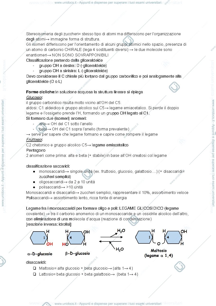 Anteprima pagina 2 — biochimica