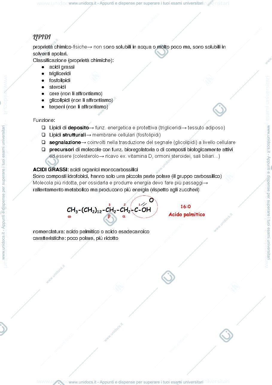 Anteprima pagina 4 — biochimica