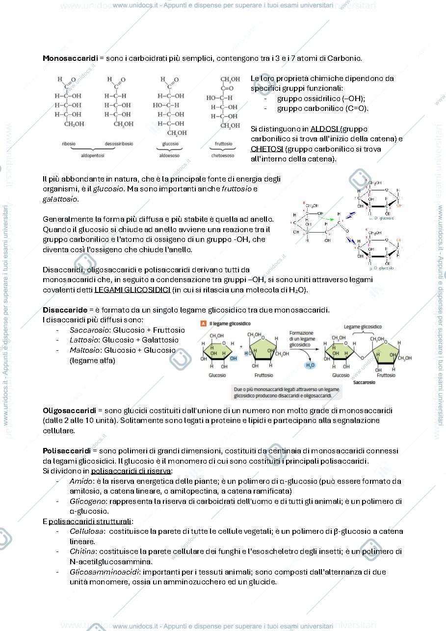 Anteprima pagina 2 — test ingresso