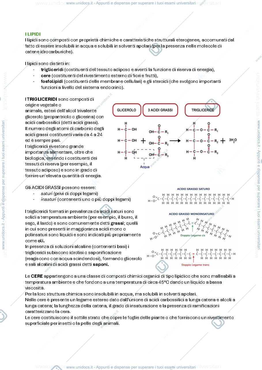 Anteprima pagina 3 — test ingresso