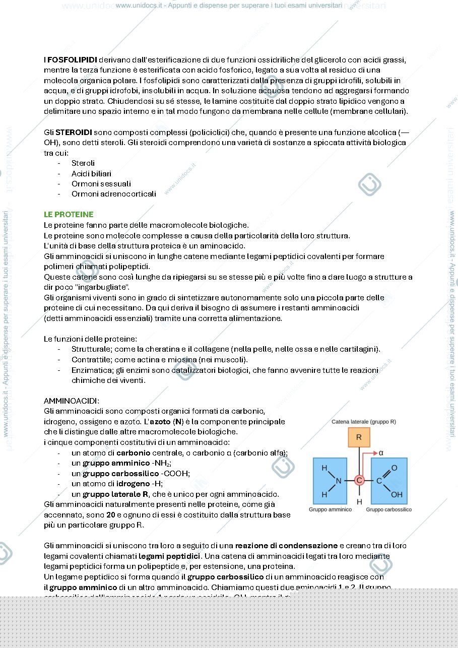 Anteprima pagina 4 — test ingresso