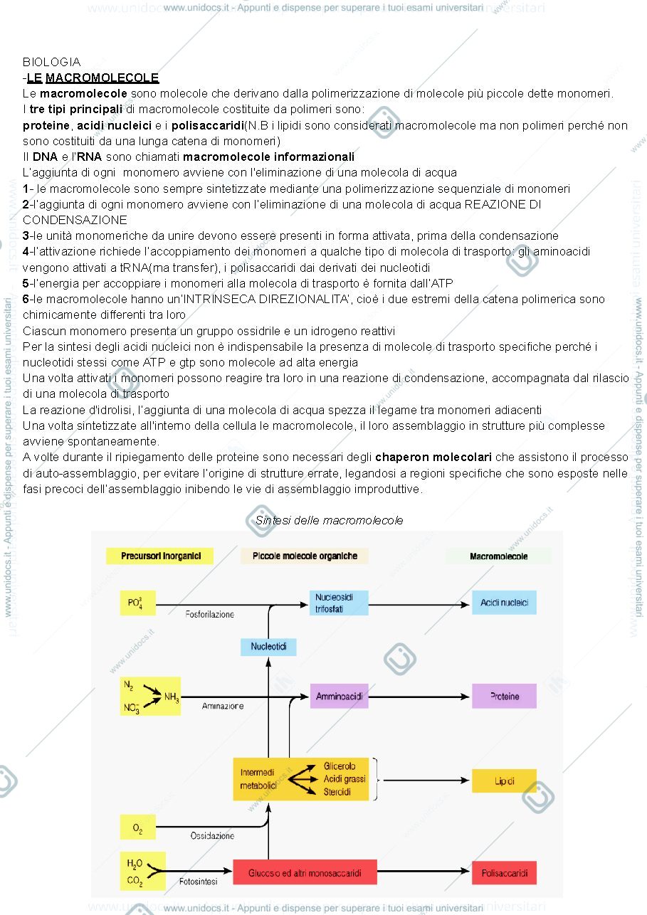 Anteprima pagina 1 — Biologia cellulare 