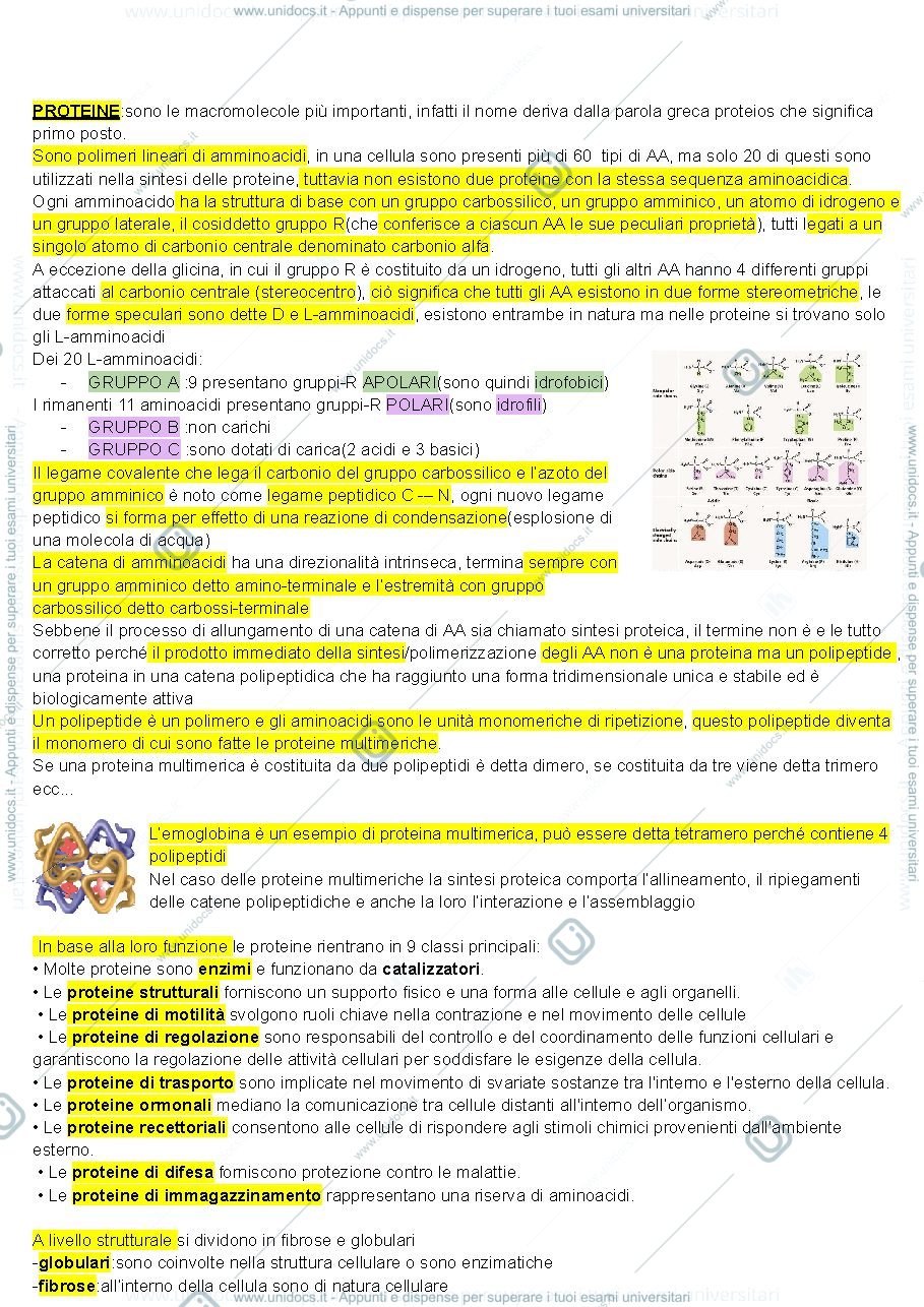 Anteprima pagina 2 — Biologia cellulare 