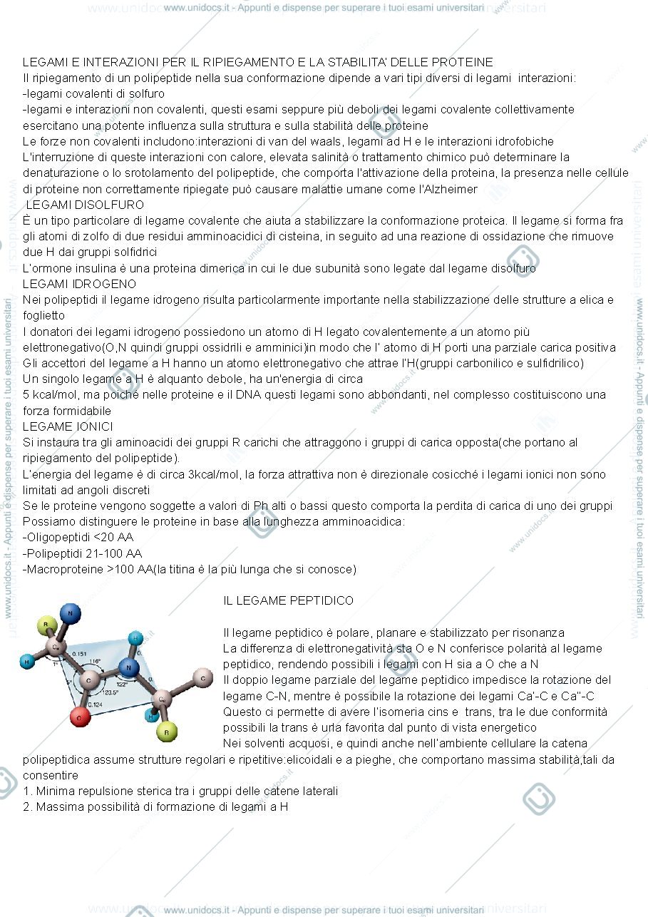 Anteprima pagina 3 — Biologia cellulare 