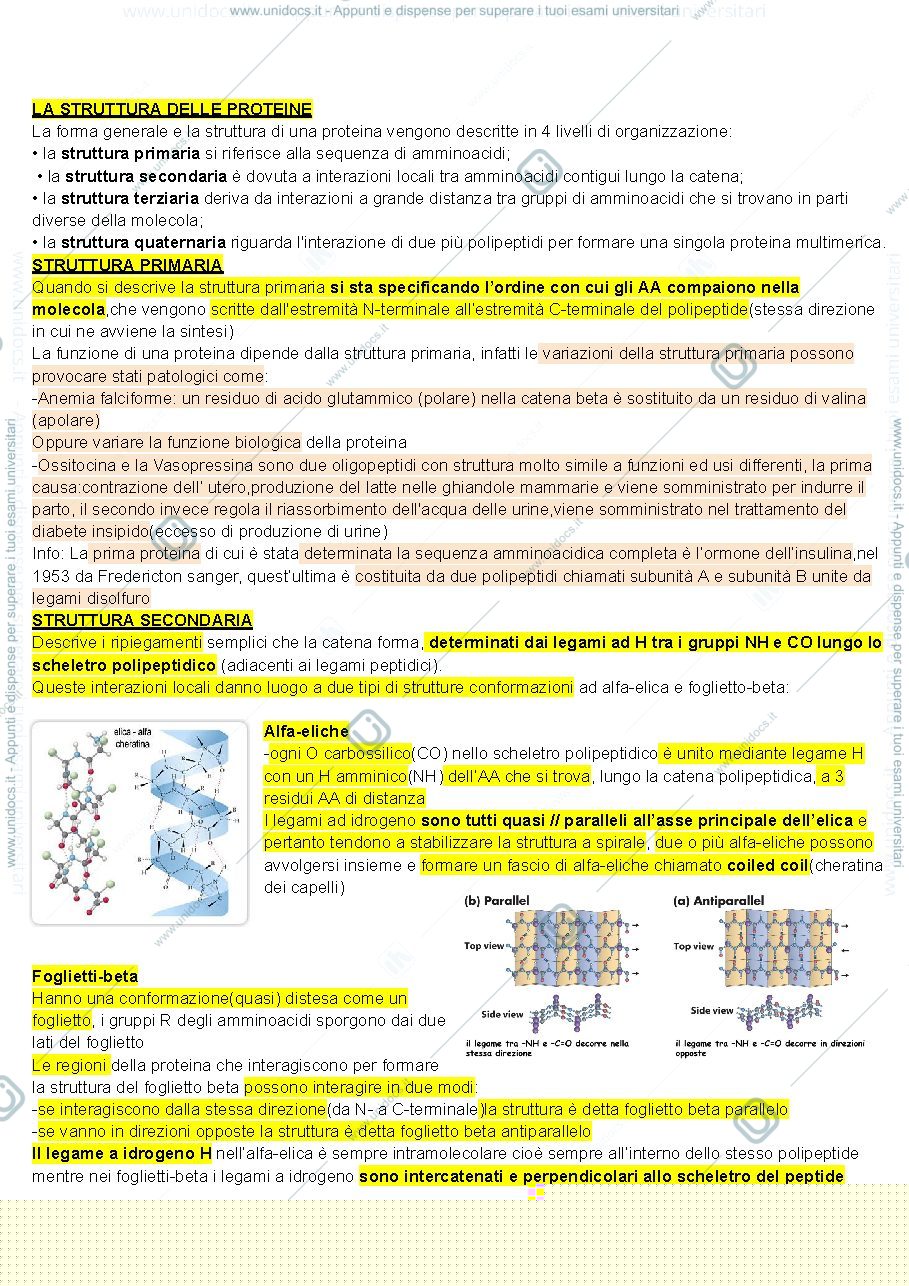 Anteprima pagina 4 — Biologia cellulare 