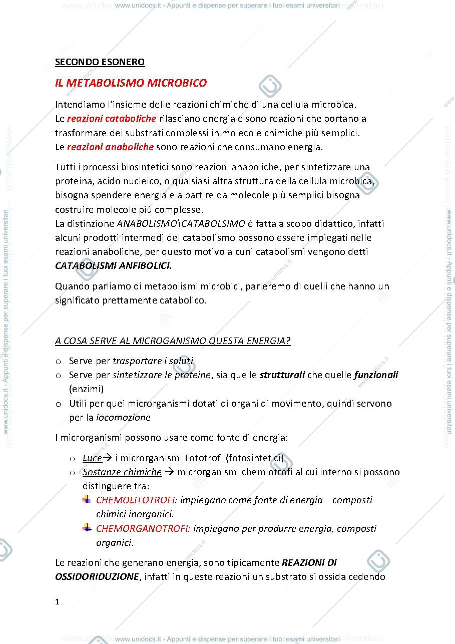 Anteprima pagina 1 — MICROBIOLOGIA PROF. MINERVINI (secondo esonero)