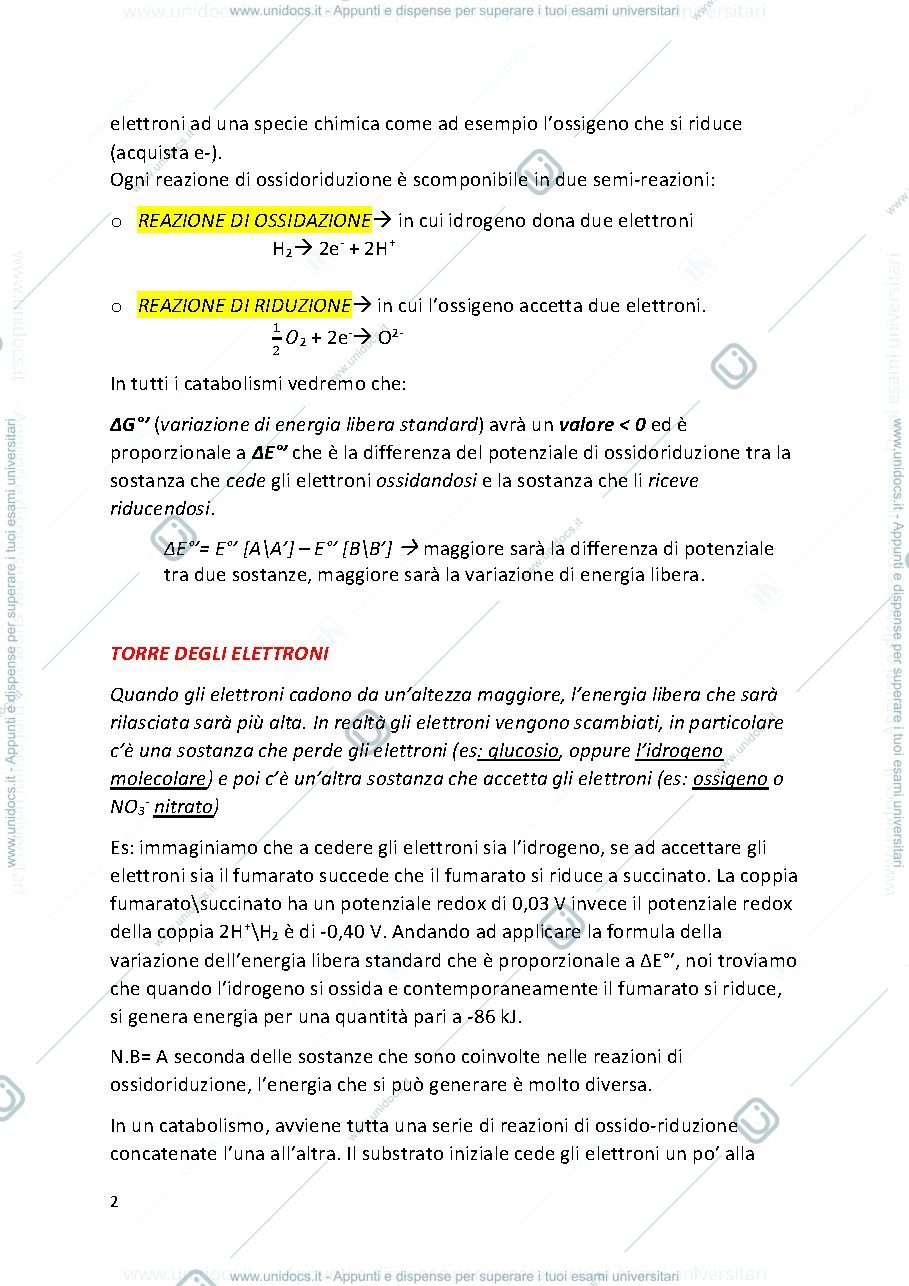 Anteprima pagina 2 — MICROBIOLOGIA PROF. MINERVINI (secondo esonero)