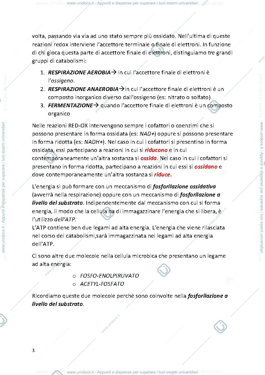 Anteprima pagina 3 — MICROBIOLOGIA PROF. MINERVINI (secondo esonero)