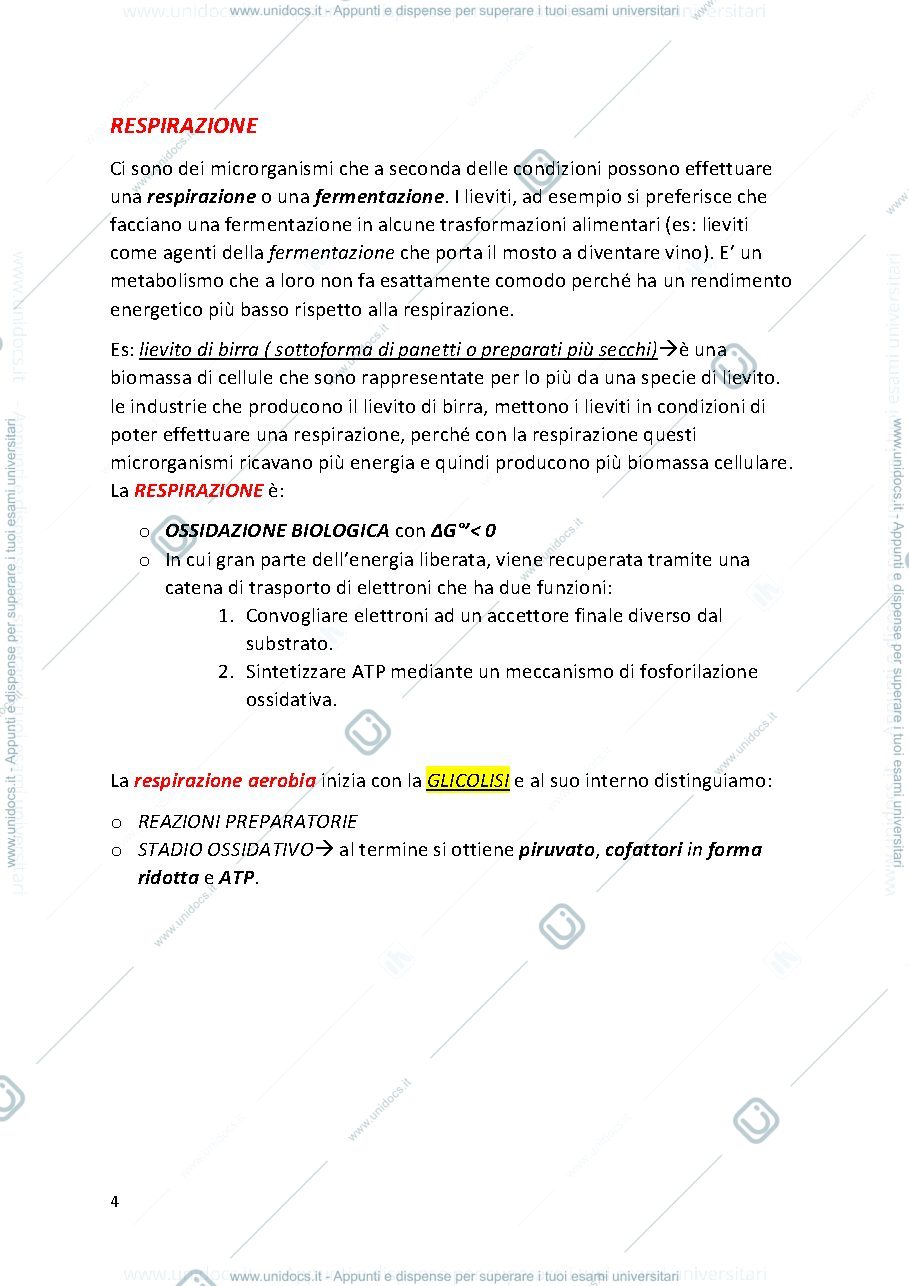 Anteprima pagina 4 — MICROBIOLOGIA PROF. MINERVINI (secondo esonero)