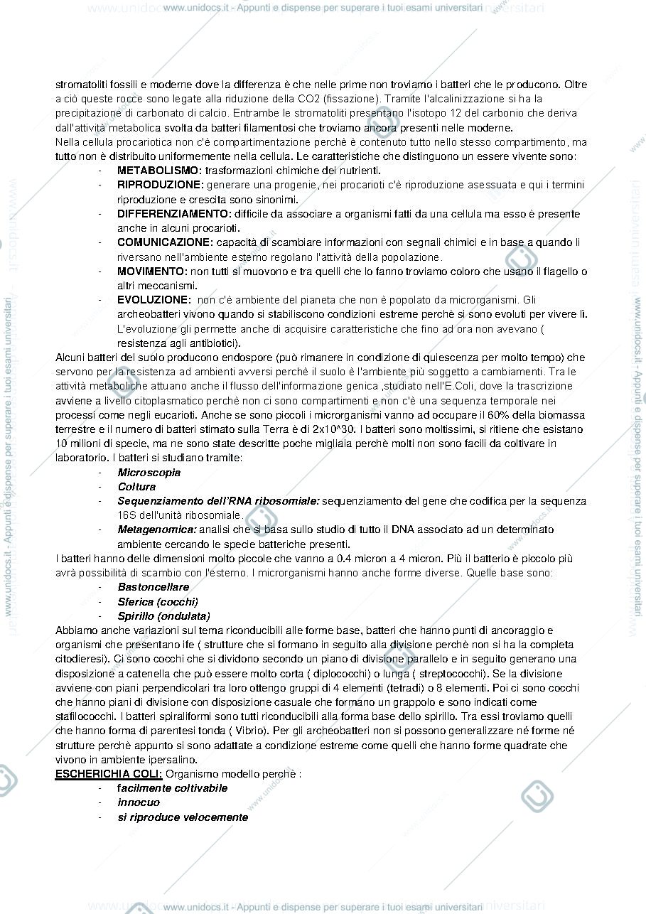 Anteprima pagina 2 — BIOLOGIA DEI MICRORGANISMI