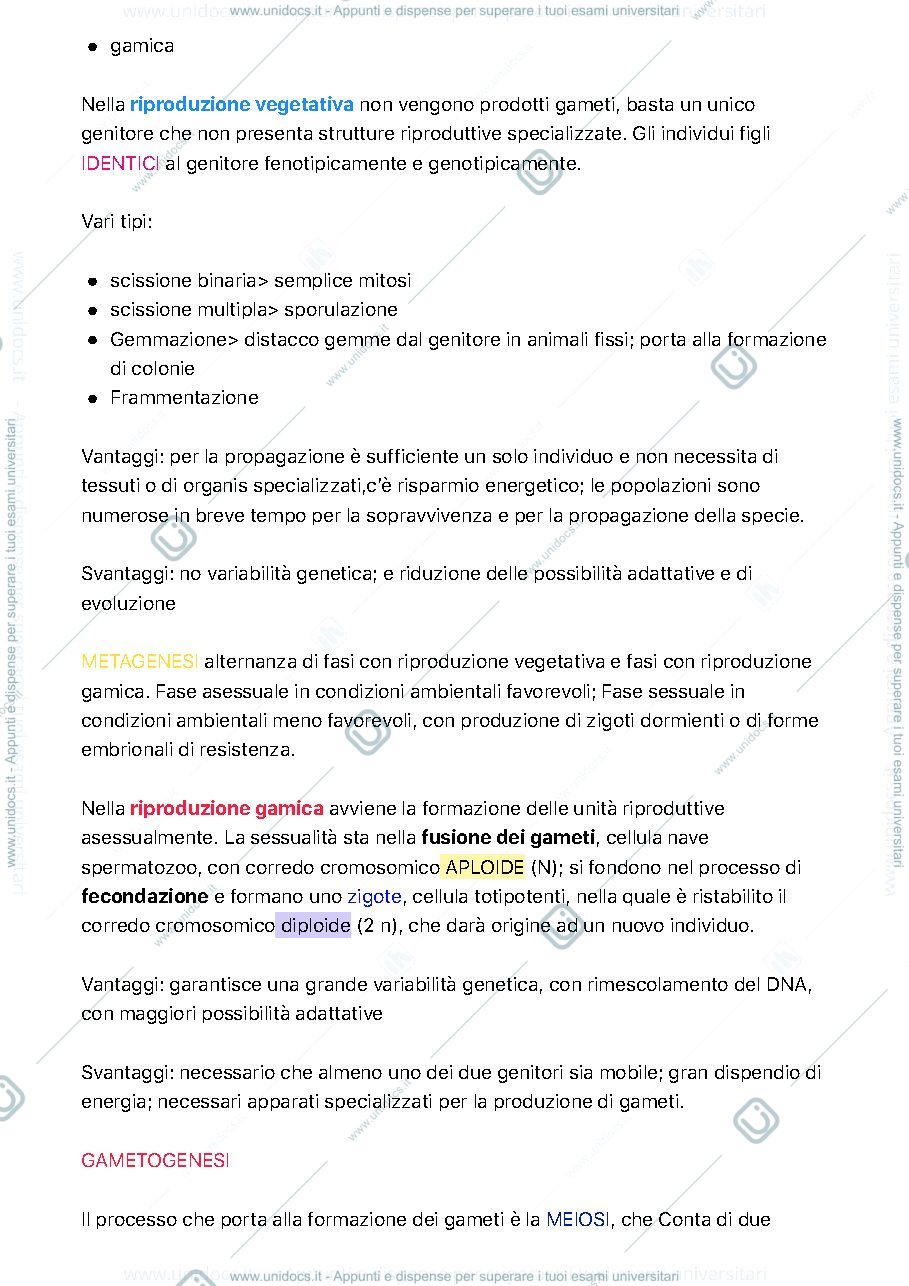 Anteprima pagina 2 — biologia