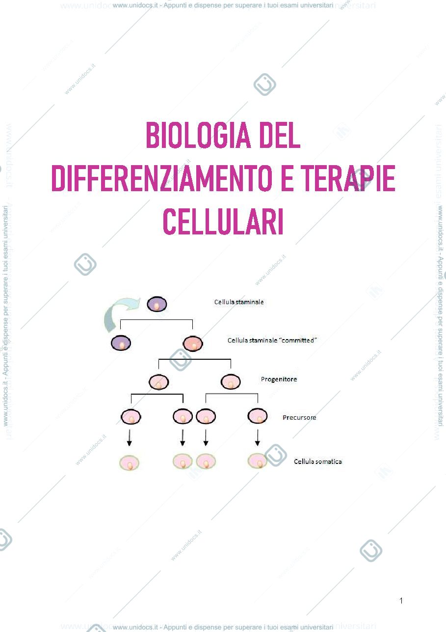 Anteprima pagina 1 — appunti biologia del differenziamento e terapie cellulari