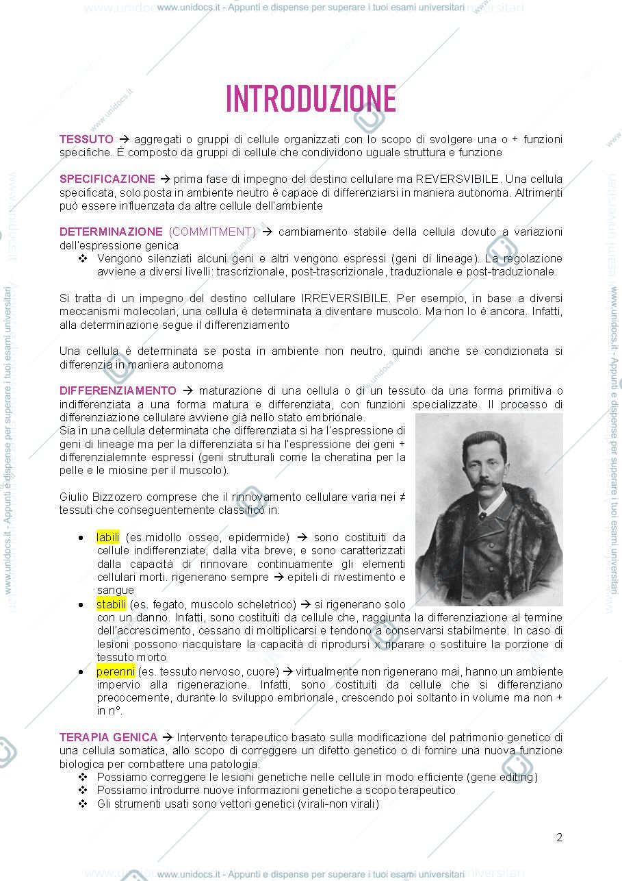 Anteprima pagina 2 — appunti biologia del differenziamento e terapie cellulari