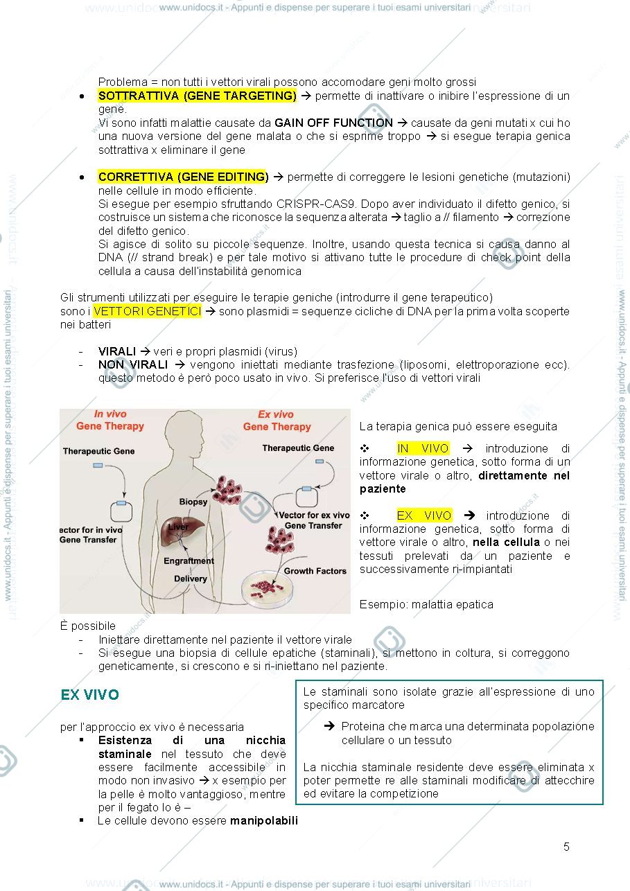 Anteprima pagina 5 — appunti biologia del differenziamento e terapie cellulari