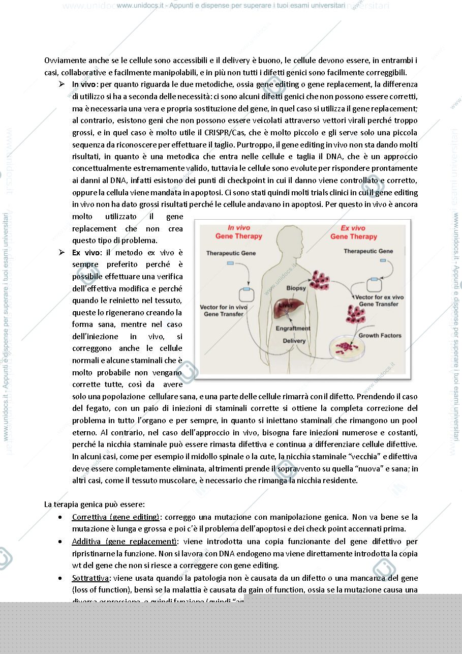 Anteprima pagina 4 — APPUNTI BIOLOGIA DEL DIFFERENZIAMENTO