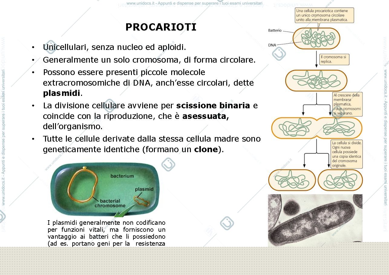 Anteprima pagina 3 — Appunti